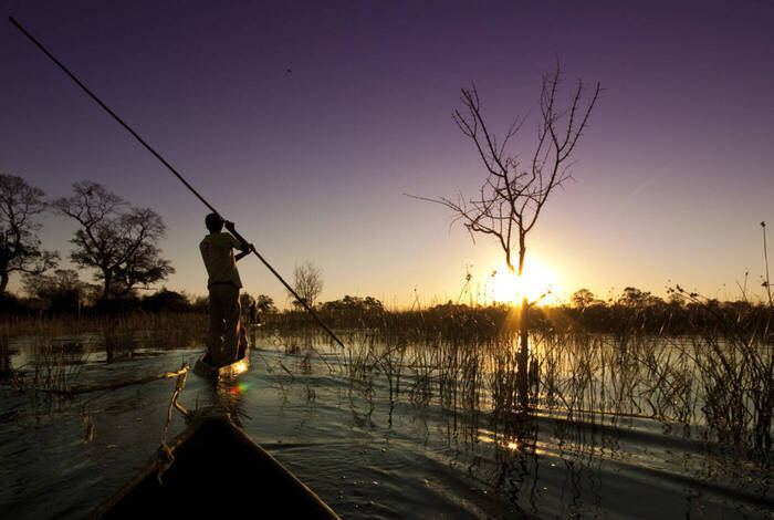 Premium Botswana Premium Botswana