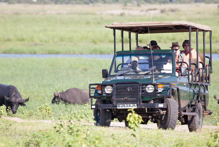 Premium Botswana Premium Botswana