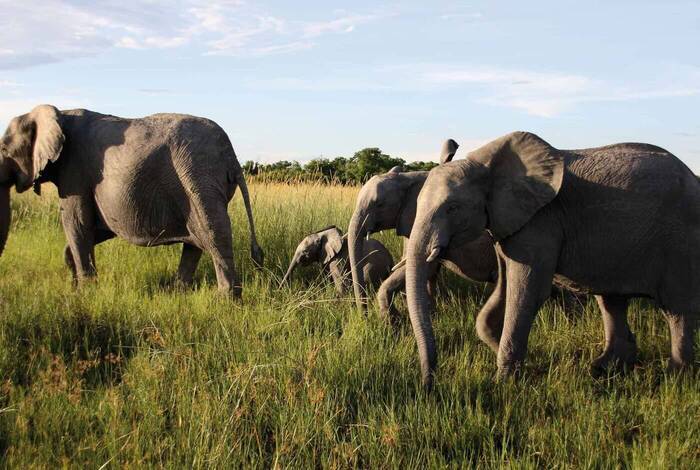 Premium Southern Africa in Depth Premium Southern Africa in Depth