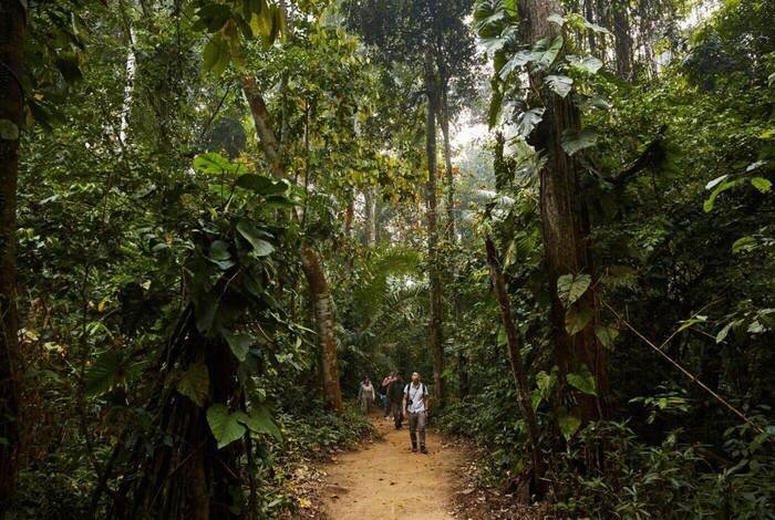 Premium Peru Premium Peru