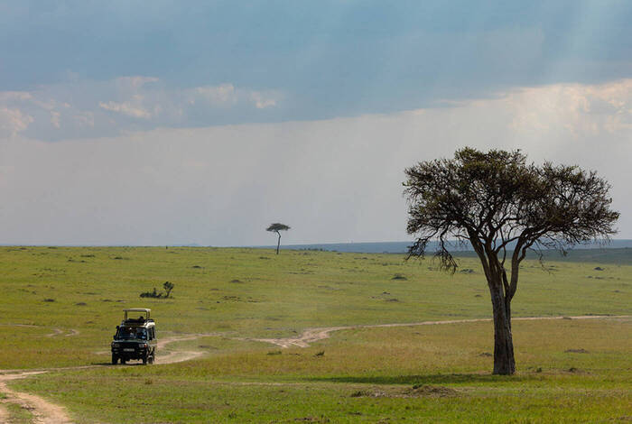 Premium Kenya & Southern Africa Highlights Premium Kenya & Southern Africa Highlights