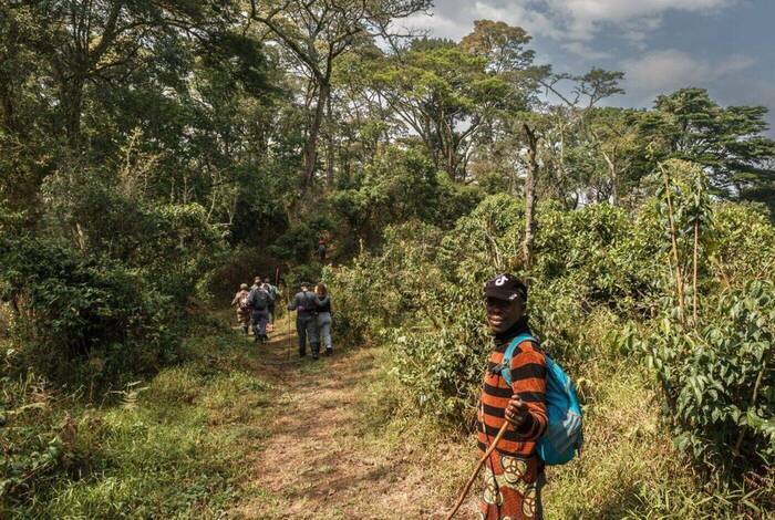 Premium Rwanda & Gorillas of Uganda Premium Rwanda & Gorillas of Uganda