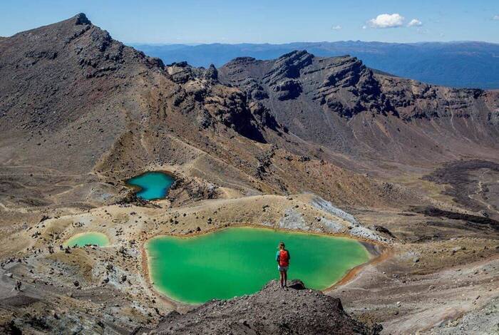 New Zealand Northern Trail