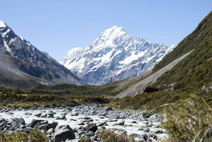 New Zealand Amplified New Zealand Amplified