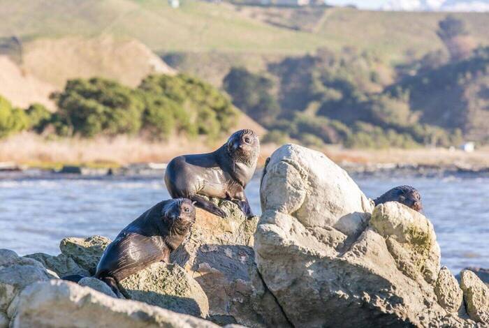 New Zealand West Coast Adventure New Zealand West Coast Adventure