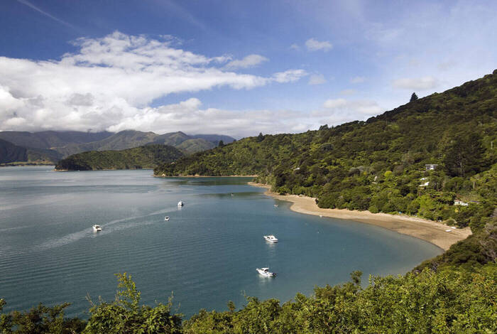 Walk New Zealand's Abel Tasman & Queen Charlotte Walk New Zealand's Abel Tasman & Queen Charlotte