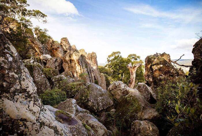 Great Ocean Road & Grampians Adventure