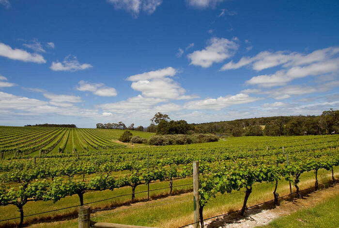 Best of Perth, Margaret River & Rottnest Island