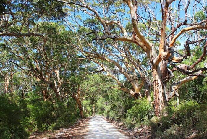 Best of Perth, Margaret River & Rottnest Island