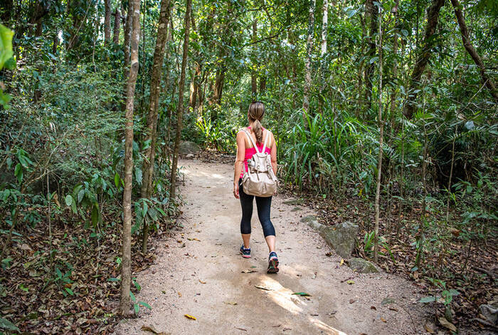 Best of Cairns, Great Barrier Reef & Daintree