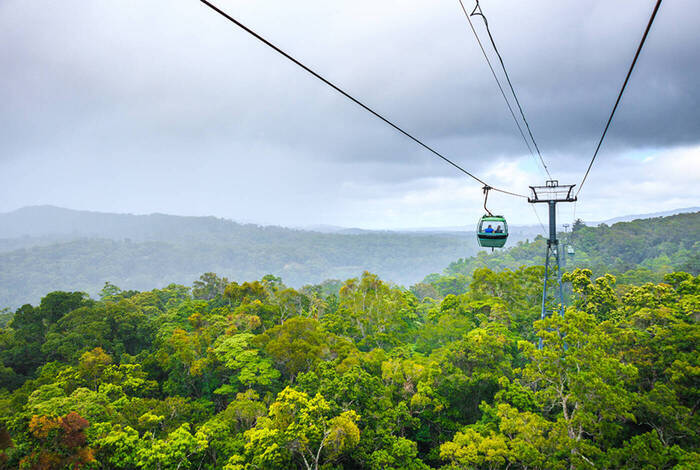 Best of Cairns, Great Barrier Reef & Daintree
