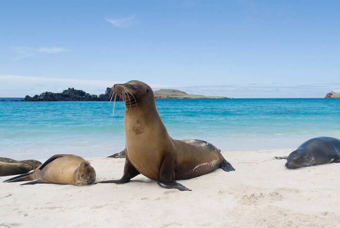 Best of Peru & Galapagos