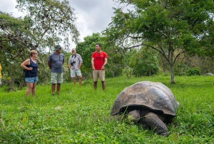 Galapagos Discovery Galapagos Discovery