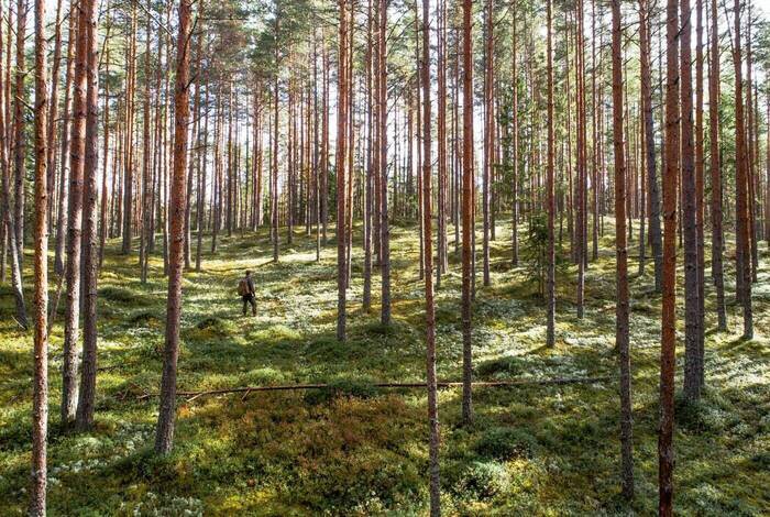 Classic Baltics