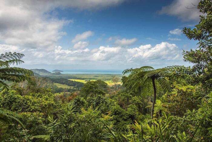 Cairns to Brisbane Adventure
