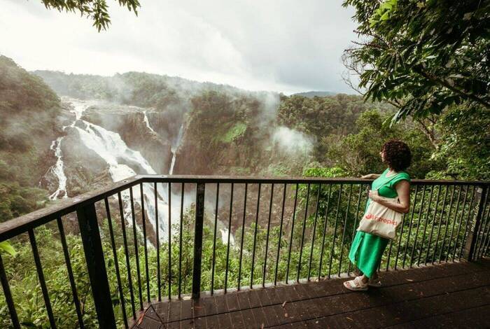 Daintree & Cape Tribulation Adventure