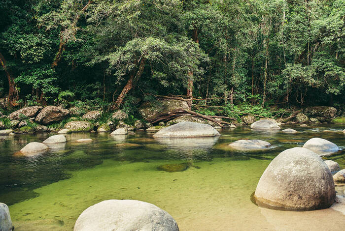 North Queensland Adventure North Queensland Adventure