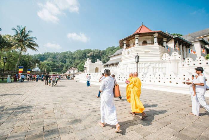 Sri Lanka Explorer