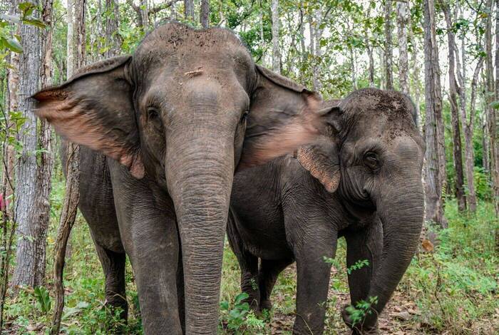 Cambodia Family Holiday with Teenagers