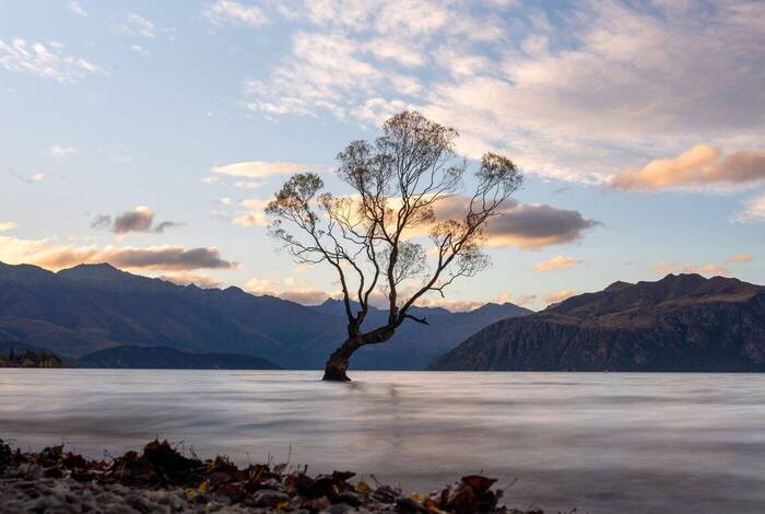 New Zealand West Coast Adventure New Zealand West Coast Adventure
