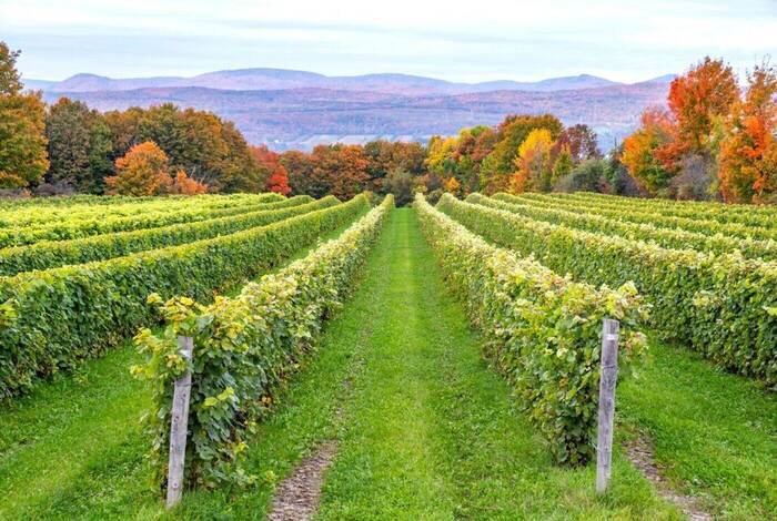 Discover Quebec