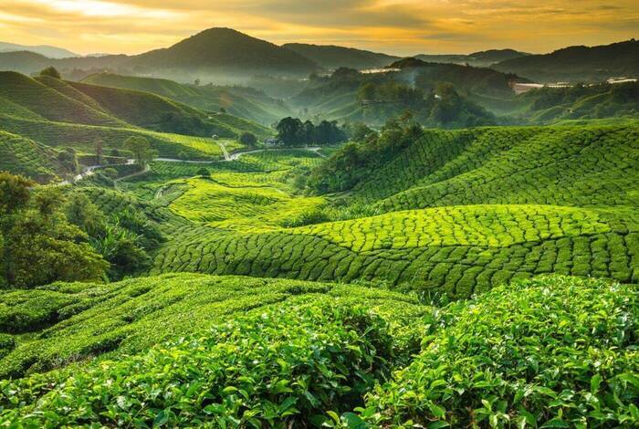 18 to 35s Real Bangkok to Singapore 18 to 35s Real Bangkok to Singapore