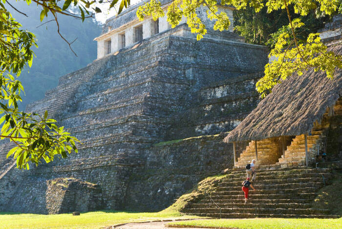 Mexico Unplugged
