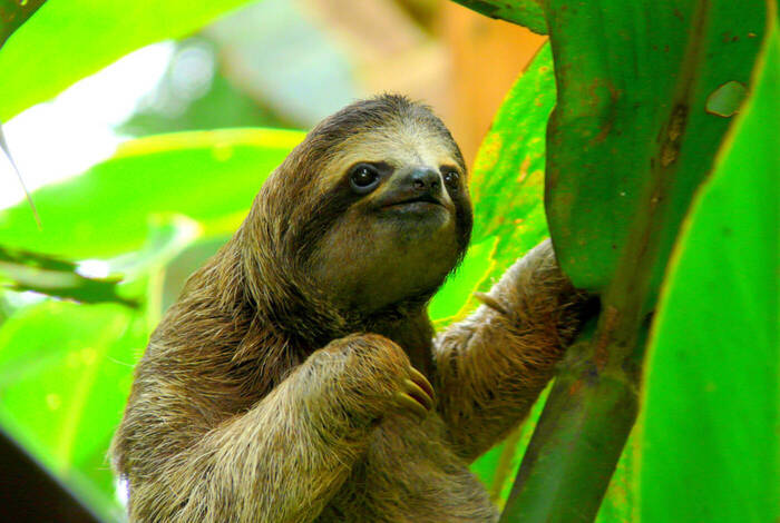 Best of Costa Rica Best of Costa Rica