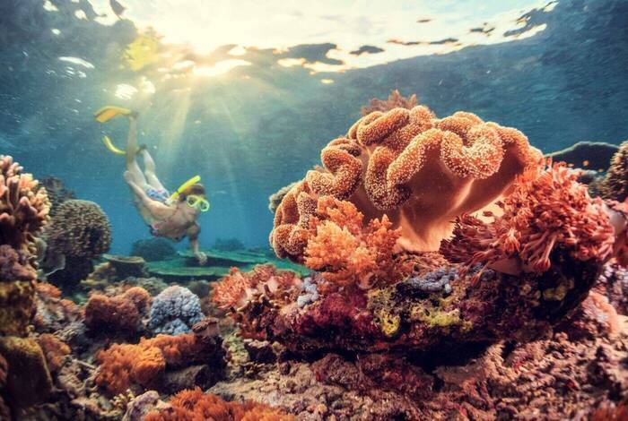 Indonesia: Highlights of Java
