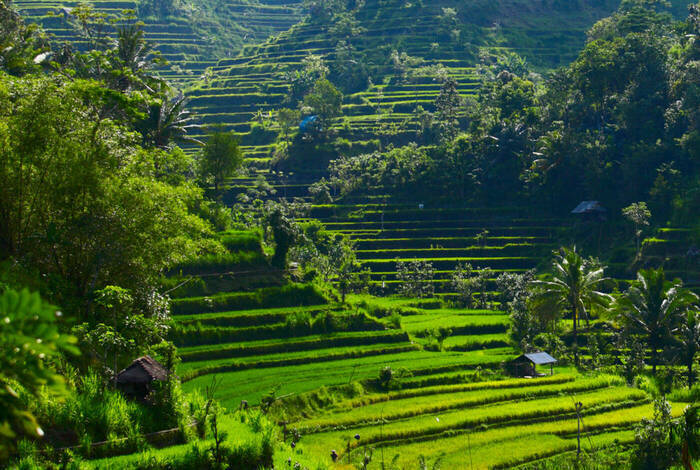 Indonesia: Highlights of Java