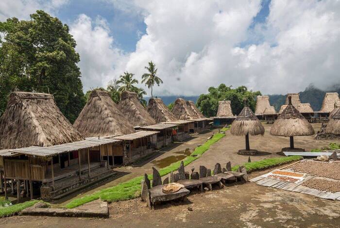 Komodo & Flores Adventure Komodo & Flores Adventure