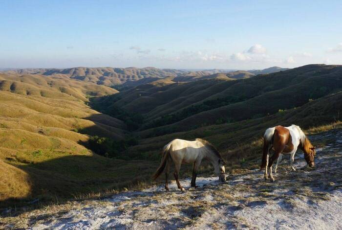 Indonesia: Sumba Island Discovery Indonesia: Sumba Island Discovery