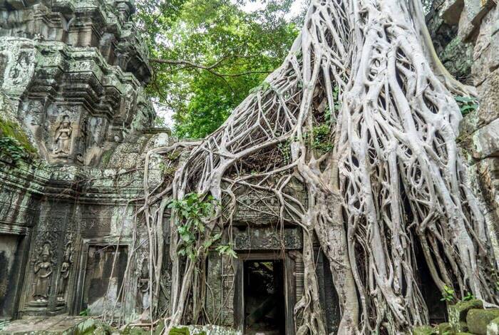 18 to 35s Real Cambodia 18 to 35s Real Cambodia