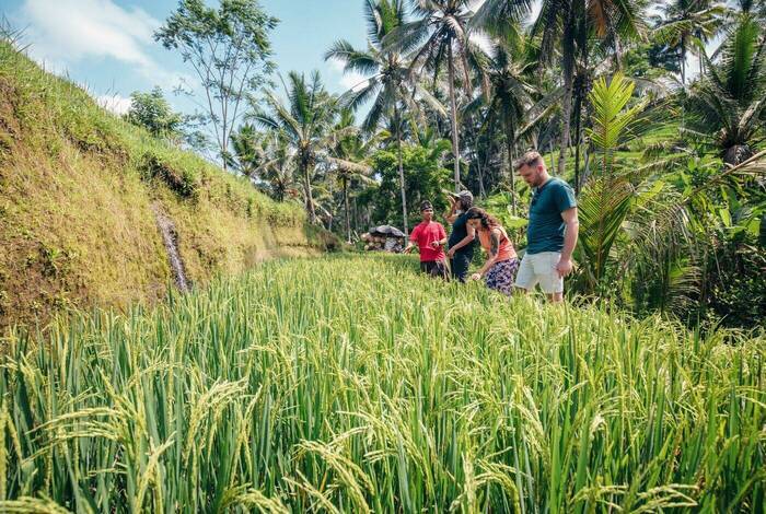 Best of Indonesia Best of Indonesia