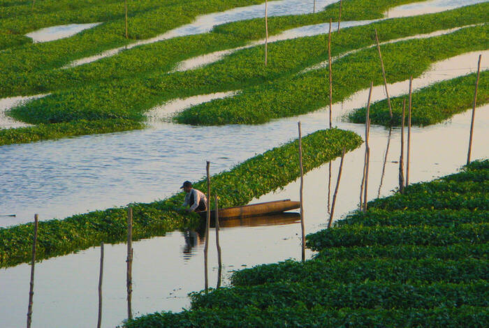 Best of Cambodia Best of Cambodia