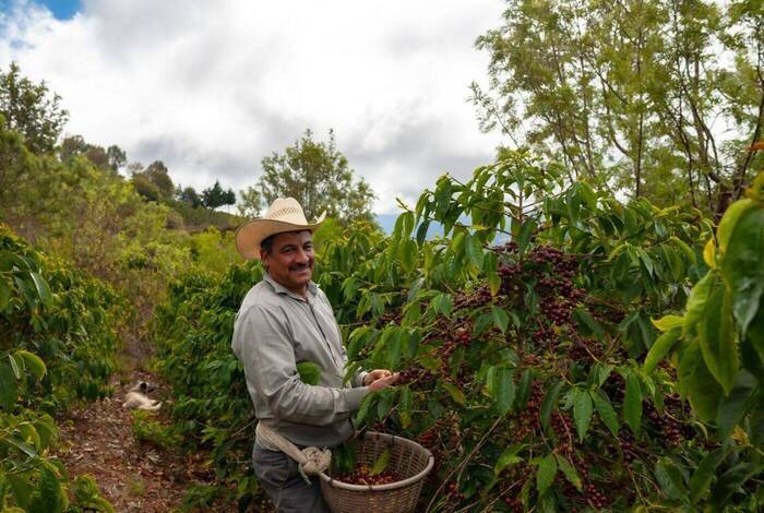 Guatemala & Beyond Guatemala & Beyond
