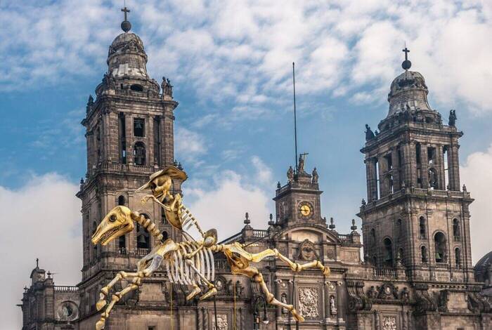 Mexico City: Day of the Dead Comfort Mexico City: Day of the Dead Comfort