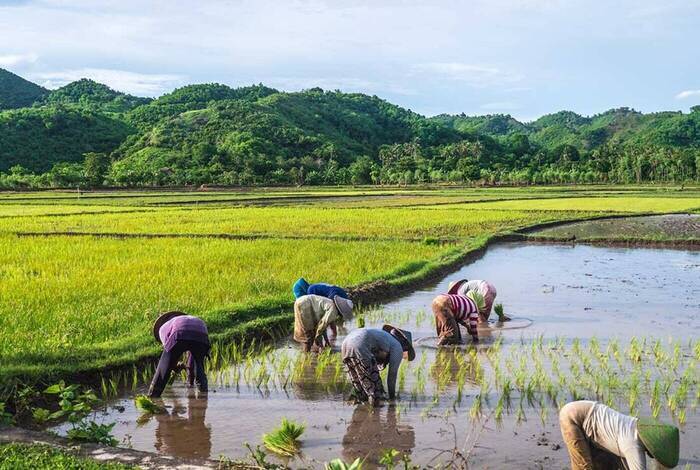 Discover Lombok