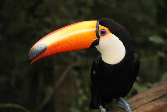 Explore Peru, Argentina & Brazil Explore Peru, Argentina & Brazil