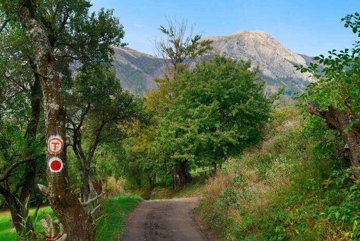 Hiking in Romania: Via Transilvanica Trail Hiking in Romania: Via Transilvanica Trail