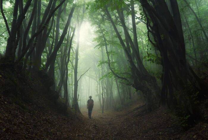 Hiking in Romania: Via Transilvanica Trail Hiking in Romania: Via Transilvanica Trail