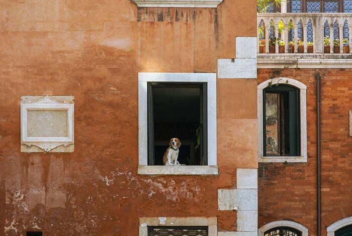 Best of Italy Best of Italy