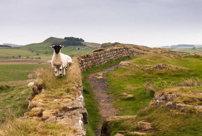 Walk Hadrian's Wall Highlights Walk Hadrian's Wall Highlights