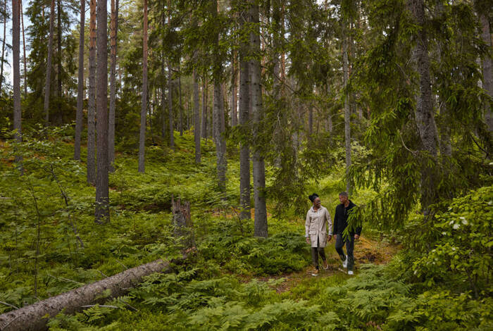 Classic Scandinavia