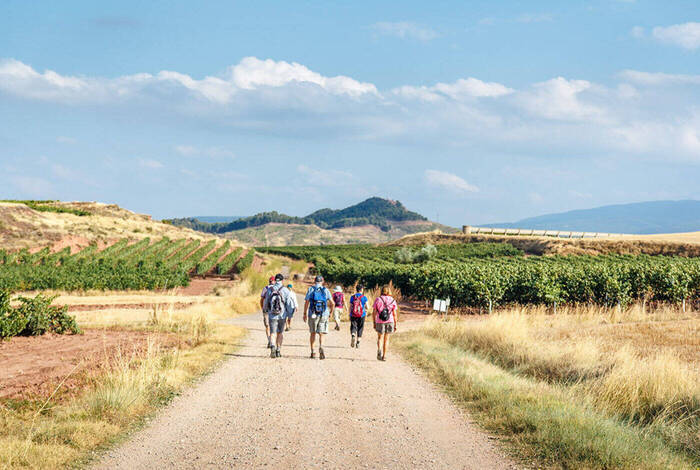 Walk the Camino de Santiago Walk the Camino de Santiago
