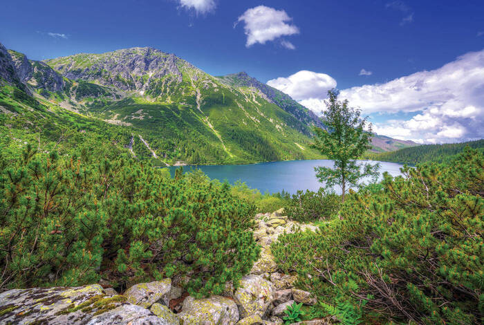 Journey through Central Europe & Romania Journey through Central Europe & Romania