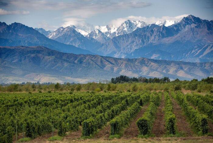 Best of Chile, Argentina & Brazil Best of Chile, Argentina & Brazil