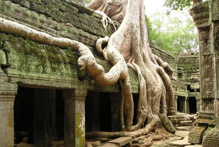 Cambodia: Hike, Bike & Kayak Cambodia: Hike, Bike & Kayak
