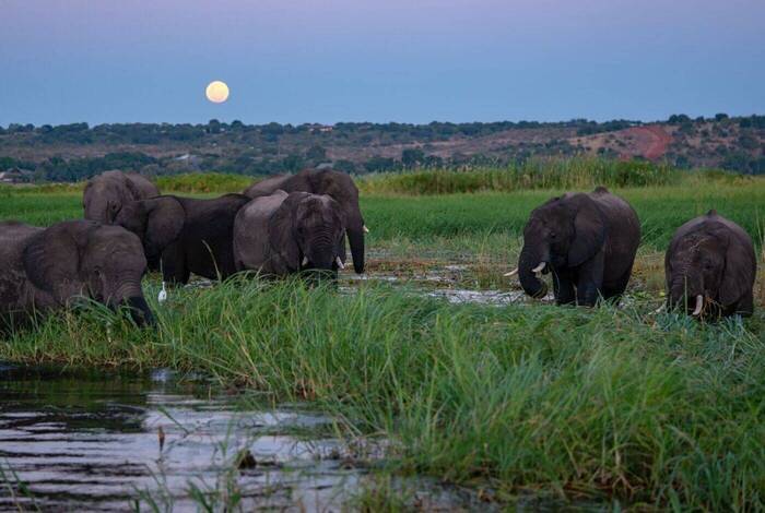 Botswana Highlights Botswana Highlights