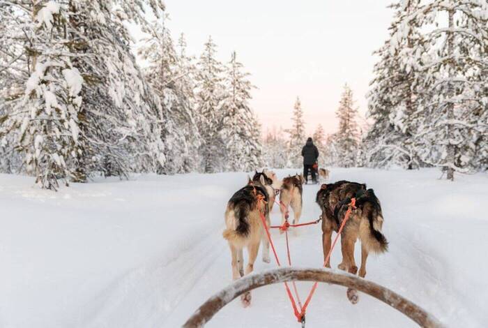 Finnish Lapland Winter Family Holiday Finnish Lapland Winter Family Holiday